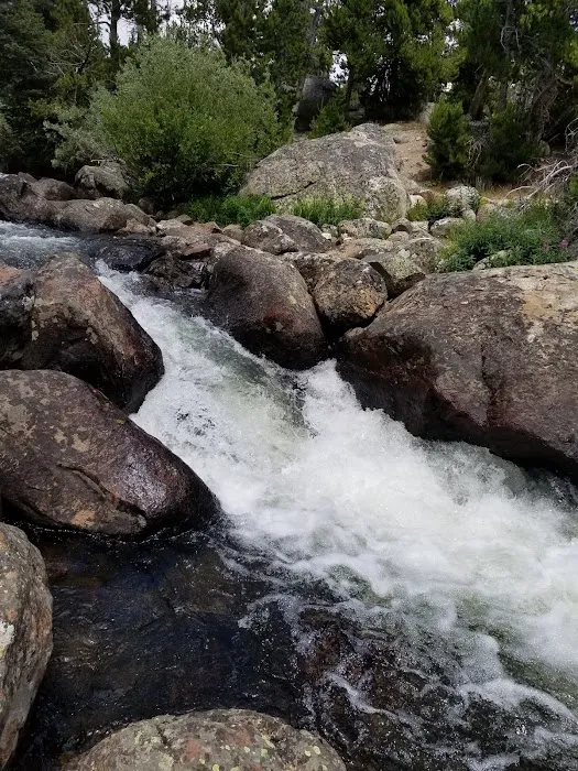 Little Popo Agie Campground Picture 3