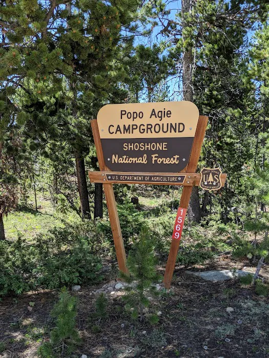Little Popo Agie Campground Picture 4