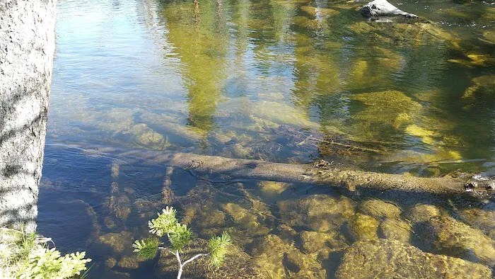 Little Popo Agie Campground Picture 10