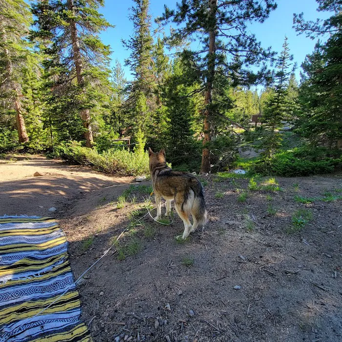 Louis Lake Campground Picture 3