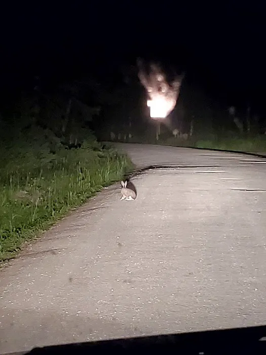 Louis Lake Campground Picture 10