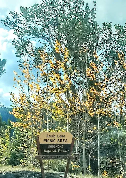 Louis Lake Campground Picture 8