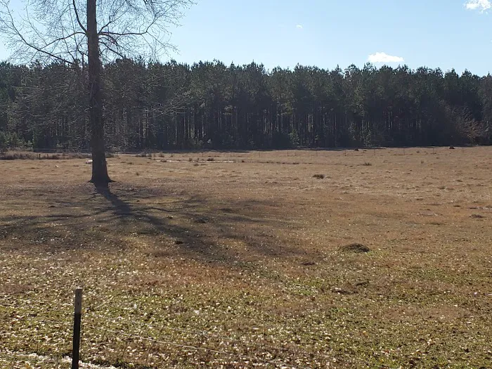 Country Living RV Picture 2