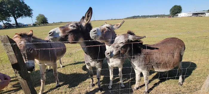 Country Living RV Picture 1