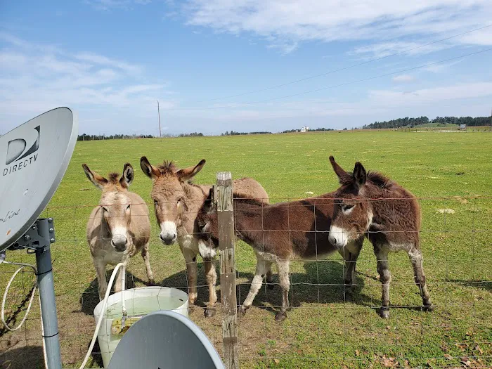 Country Living RV Picture 7