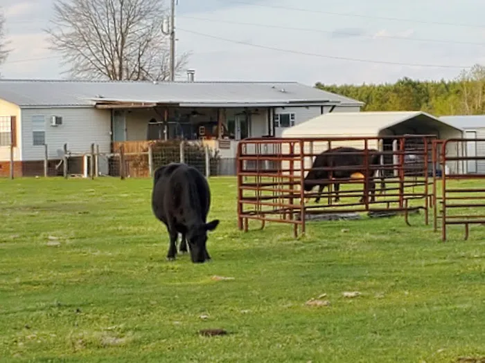Country Living RV Picture 5