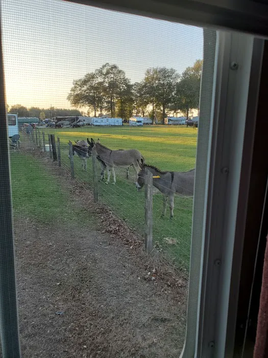 Country Living RV Picture 10