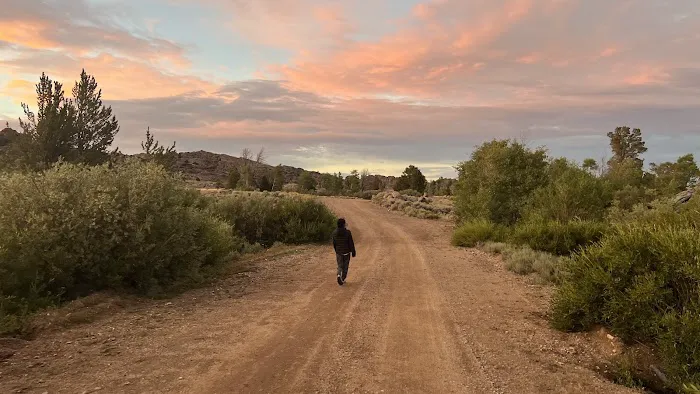 2 Campsites on BLM Picture 2