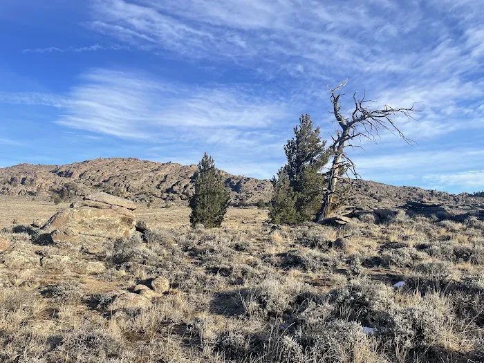 2 Campsites on BLM Picture 1