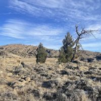 2 Campsites on BLM ico