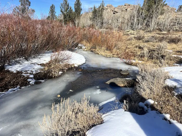 2 Campsites on BLM Picture 6