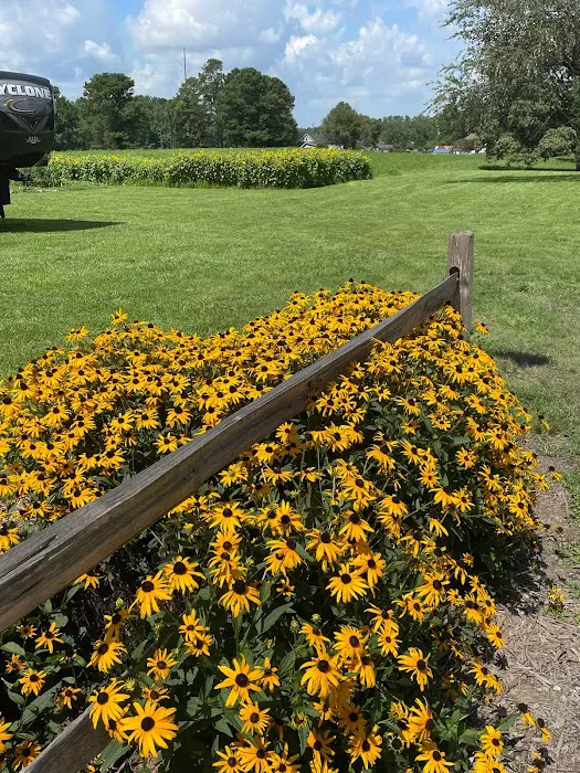 Wesley Oaks RV park Picture 3