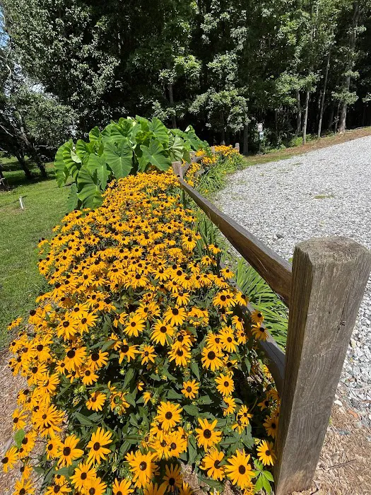 Wesley Oaks RV park Picture 2