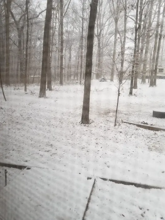 Wesley Oaks RV park Picture 5