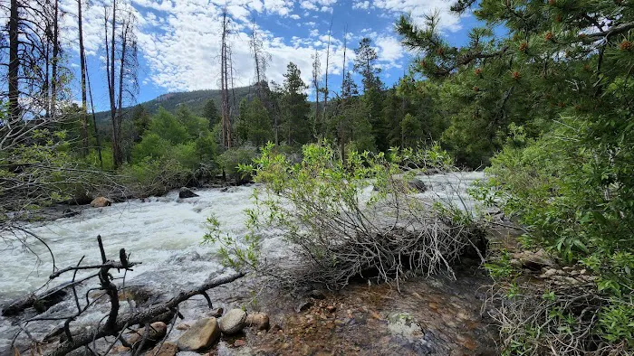 Hugh Otte Camping Area Picture 4