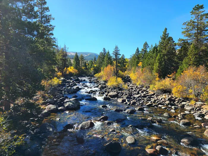 Sinks Canyon Campground Picture 3