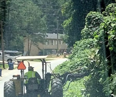 Pine Valley Mobile Home Park