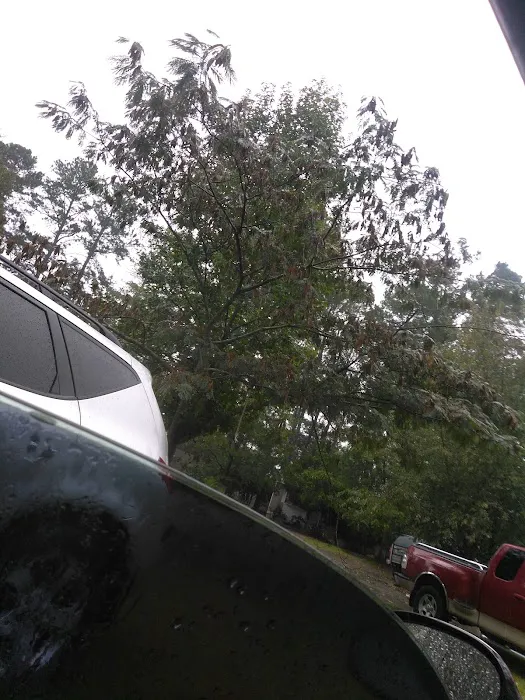 Pine Valley Mobile Home Park Picture 4