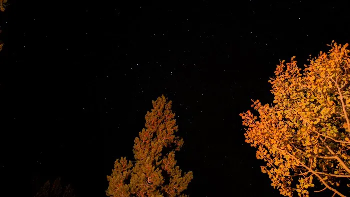 Atlantic City Campground Picture 6