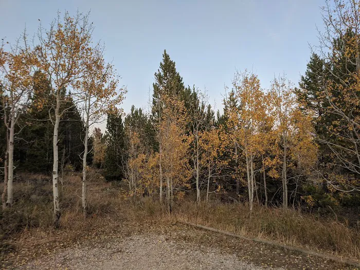 Atlantic City Campground Picture 7