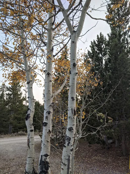 Atlantic City Campground Picture 10