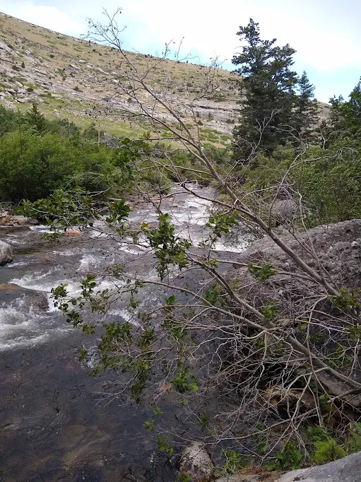 Sawmill Campground Picture 2