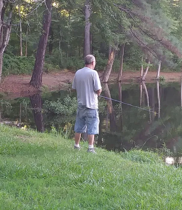 Briscoe Trailer Park Picture 4