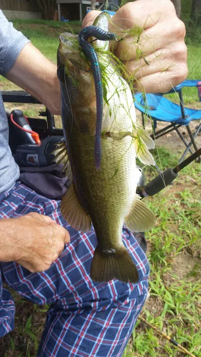 Briscoe Trailer Park Picture 5