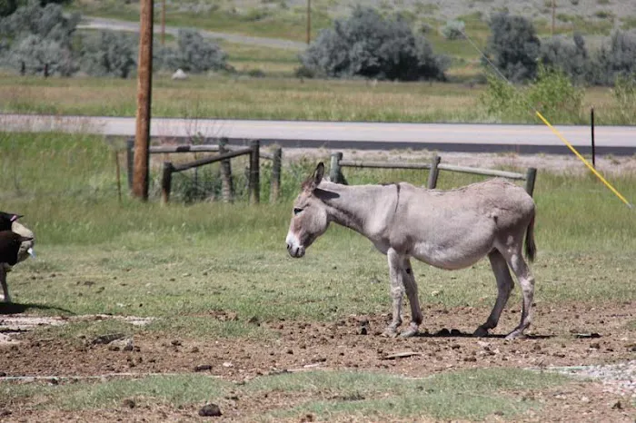Mountain View Camp Ground Picture 8