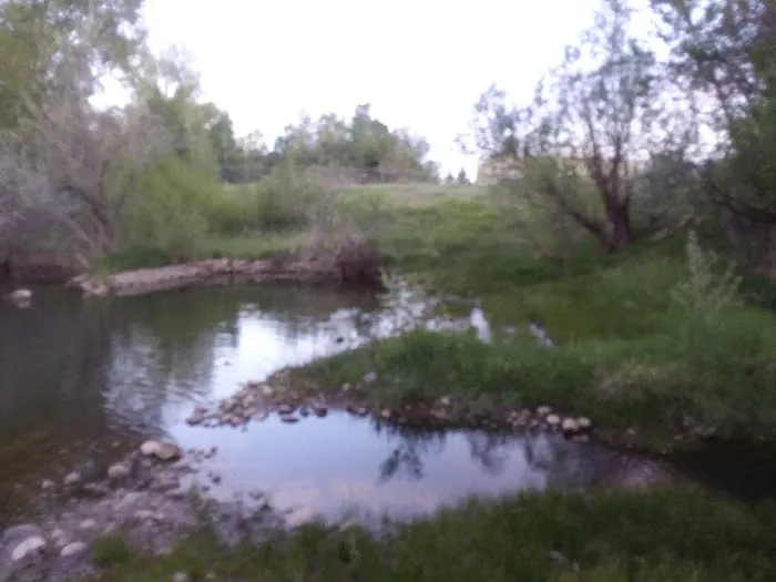 Maverick RV Park and Campground Picture 7