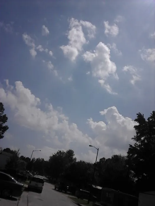 Gwinnett Estates Picture 6