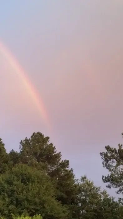 Gwinnett Estates Picture 4