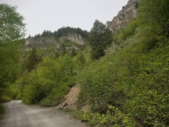 Lodge Campground Picture 6