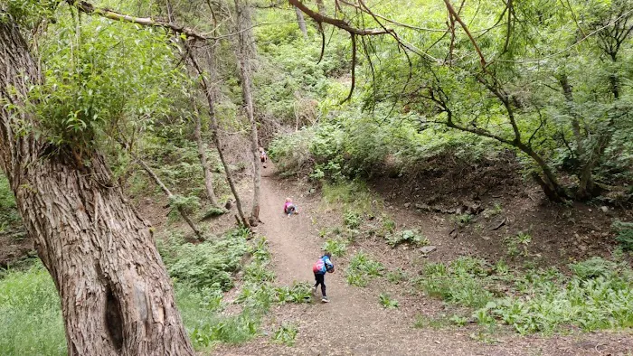 Lodge Campground Picture 7