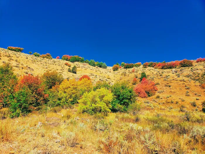 Lodge Campground Picture 10