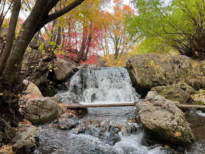 Camp Lomia Picture 3