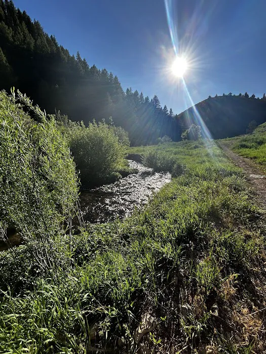 Camp Lomia Picture 6