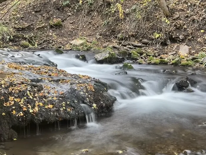 Camp Lomia Picture 8