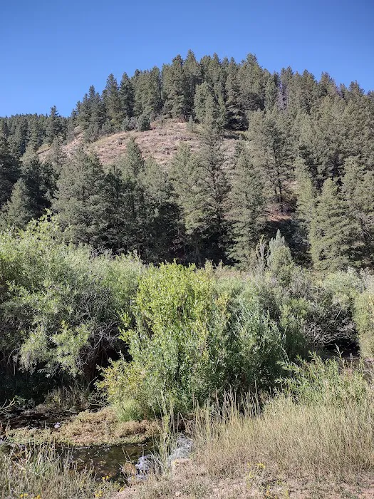 Camp Lomia Picture 7