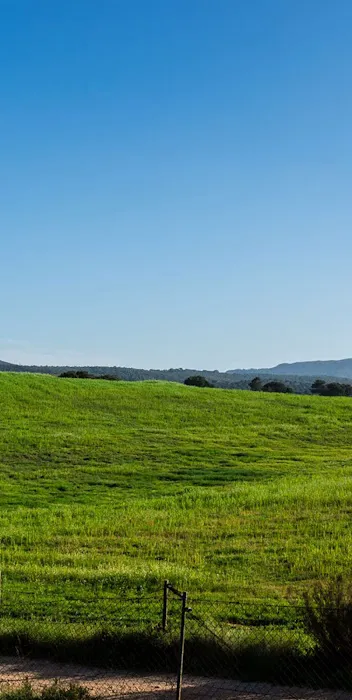 Magnolia Ridge MHP Picture 1