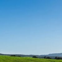 Magnolia Ridge MHP ico