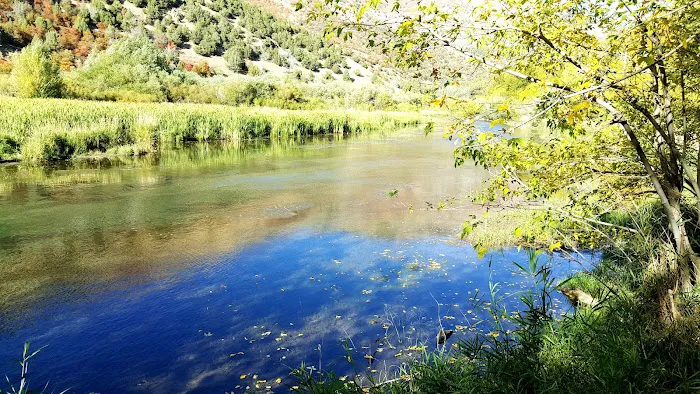 Malibu Campground Picture 3