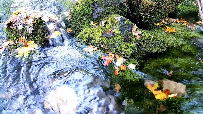 Malibu Campground Picture 6