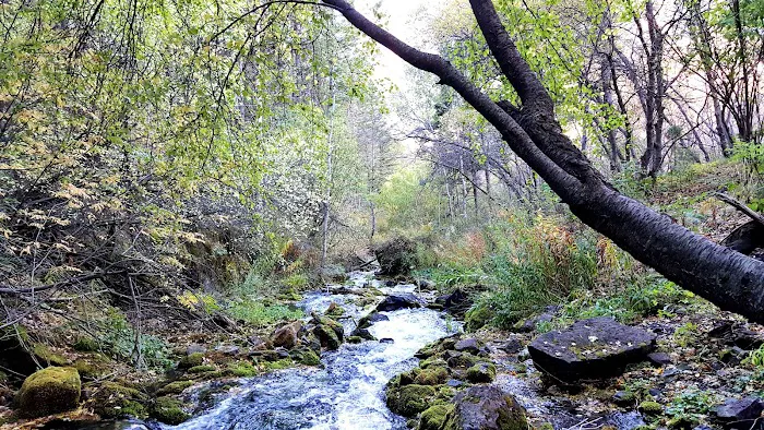 Malibu Campground Picture 5