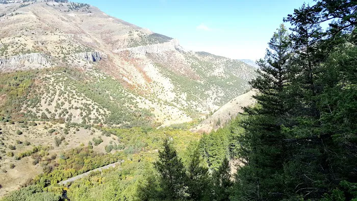 Malibu Campground Picture 9