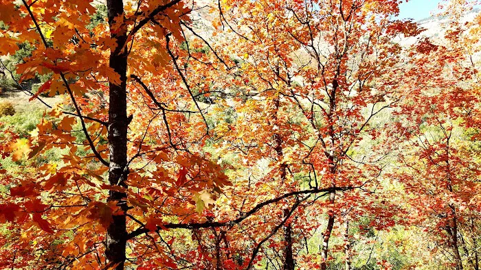 Malibu Campground Picture 8