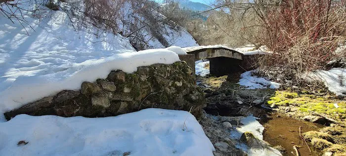 Dewitt Day Use Picture 1