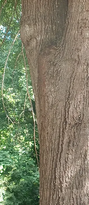 Southside Mobile Home Park Picture 3