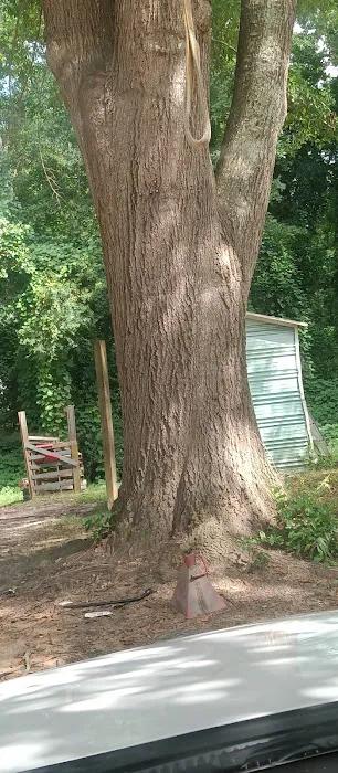 Southside Mobile Home Park Picture 8