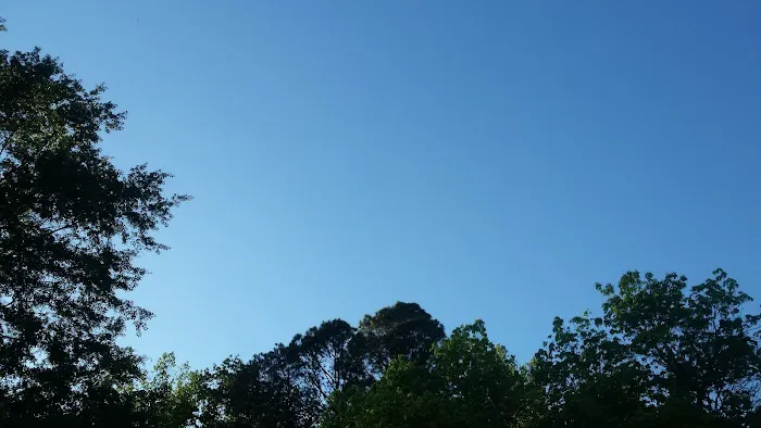 Southside Mobile Home Park Picture 6